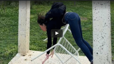 Funny Moments and Best Fails of 2025